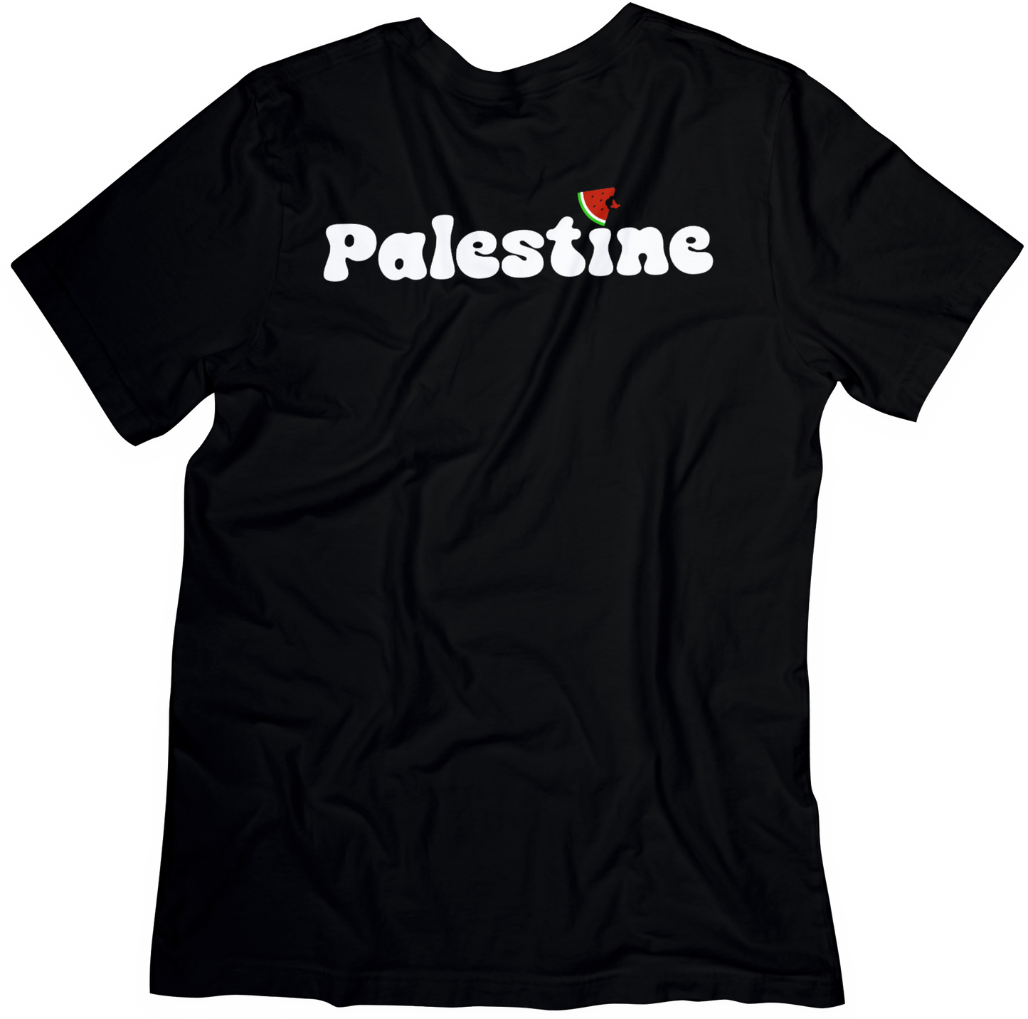 Kids Palestine T-Shirt